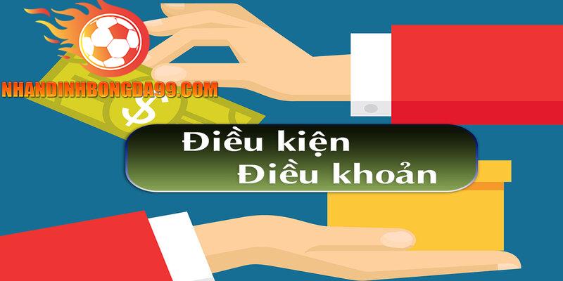 Điều khoản điều kiện website